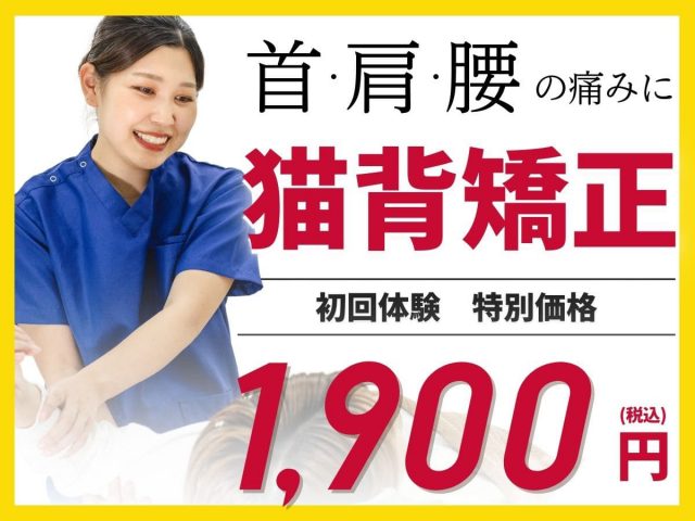 骨盤矯正を初回特別価格で予約する